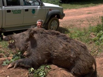 hog.jpg hog.jpg