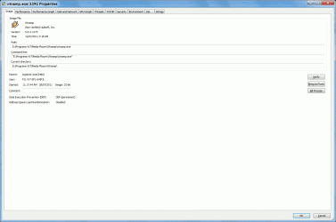 Process Information.gif