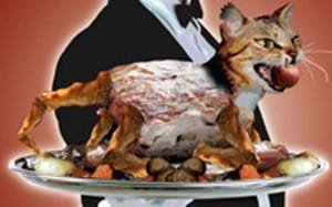 BBQ-Kitty.jpg BBQ-Kitty.jpg