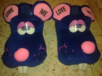 panais slippers.jpg