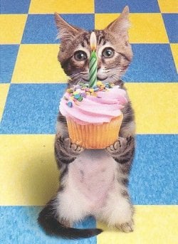 Funny-Birthday-Wishes-4.jpg