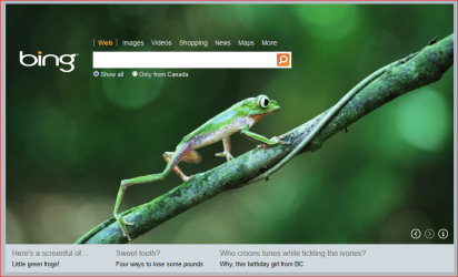 bing.PNG bing.PNG