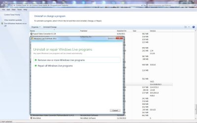 Repair WLE.jpg