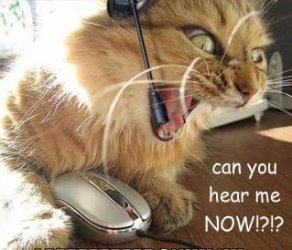 can_You_Hear_Me_Now.jpg