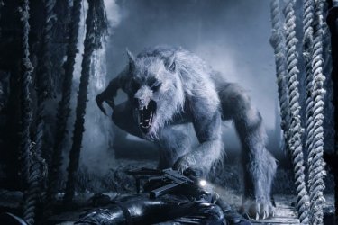 WilliamLycan.jpg WilliamLycan.jpg