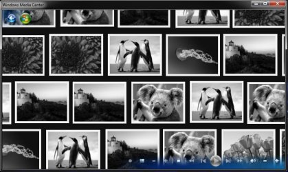 Favorite_Slide_Show.jpg
