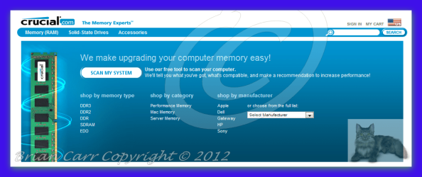 brys Snap2011.10.3107h20m44s002.png