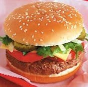 Hamburger2.jpg