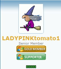 Lady.PNG