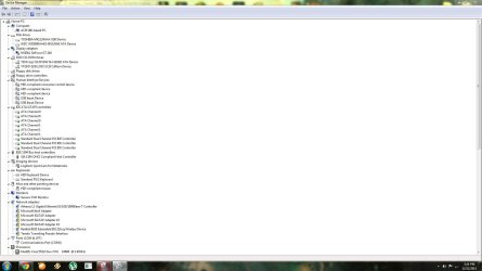 device manager.JPG