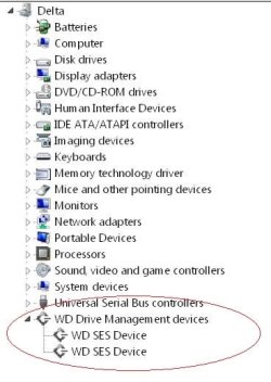 WDTV SES Device.jpg