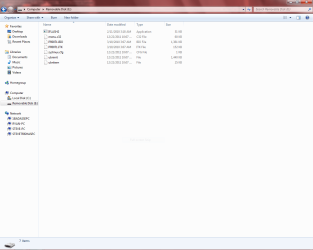 screenshot flash drive contents.PNG