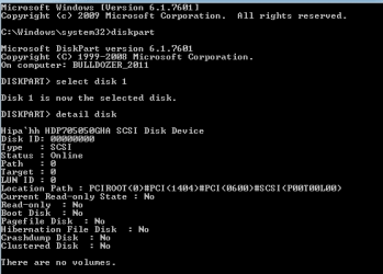 Disk 1 details.png