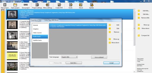 Screenshot - DVDFlicks Audio Tracks.jpg