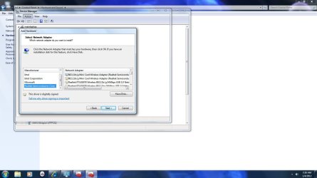 Realtek Device Options.jpg