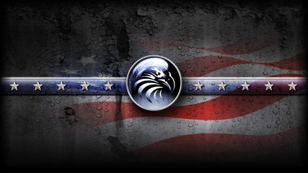 Eagle USA_wall.jpg