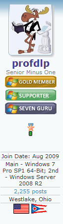 profdlp.PNG
