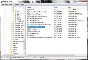 registry DWM.jpg registry DWM.jpg