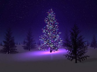 noel_006.jpg