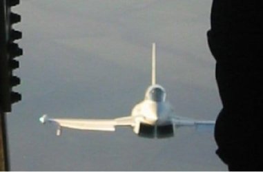 FwFwFLYB (4).jpg