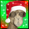Dinesh Avatar.png Dinesh Avatar.png