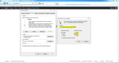 panais internet explorer.PNG