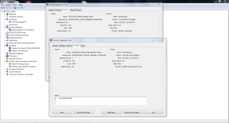 Device Manager, DxDiag.PNG