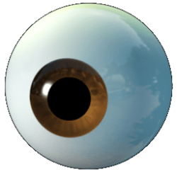 eye.png eye.png