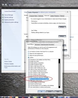 show windows.jpg