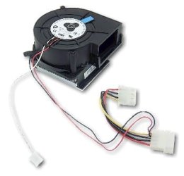 Fan Part.jpg