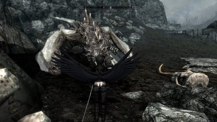 ScreenShot5.jpg