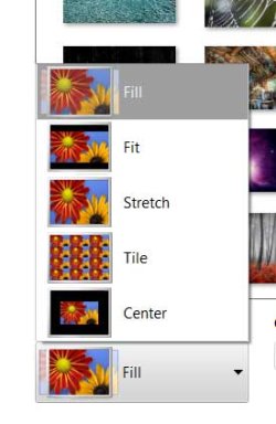 fill.jpg fill.jpg