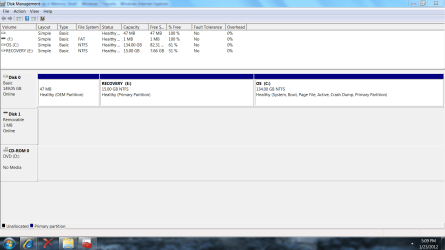 Disk Management Screen Shot.png