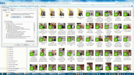 Folder of JPGs.gif