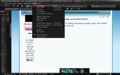How to make download manager work with firefox - Windows 7 Forums - Mozilla Firefox (Build 20111.png