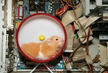 rodent pc power wheel.jpg rodent pc power wheel.jpg