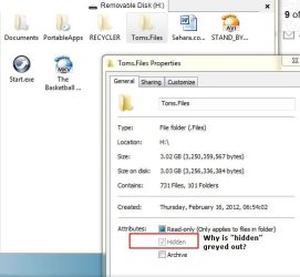 Hidden.Folders.on.USB.DoK.2012.03.03.v01.jpg