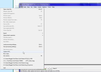 VirtualDub 1.10.jpg