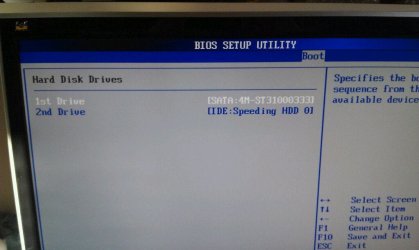 uploadfromtaptalk1326326020705.jpg