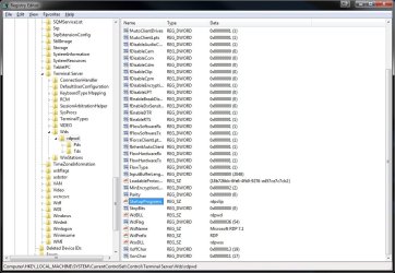 regedit rdpclip.jpg