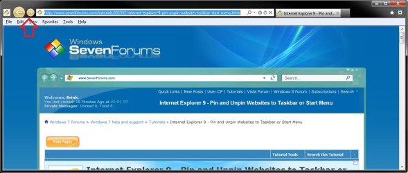 pinned-site.jpg