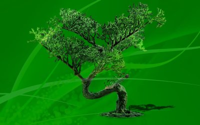 bonsai manipulation mod01m.jpg bonsai manipulation mod01m.jpg