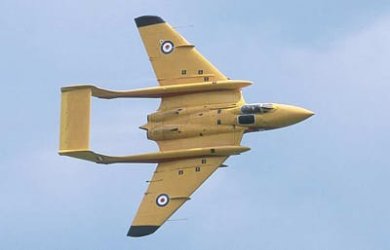 SeaVixen gold.jpg