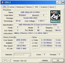 bad RAM sceen shot CPU.JPG