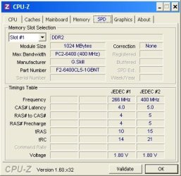 bad RAM sceen shot SPD.JPG