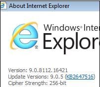 IE9-32bit-version.JPG