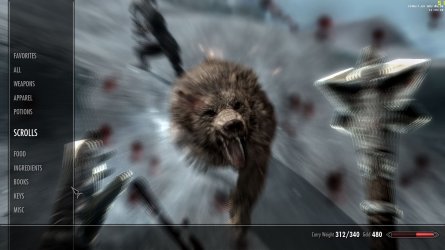 bear.jpg bear.jpg