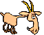 goat4.gif goat4.gif