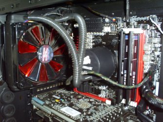 S4030687.jpg