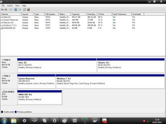 Disk Management - 16 January 2012.png